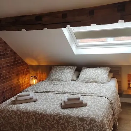 Appartement Charmant Studio Vieux-lille *